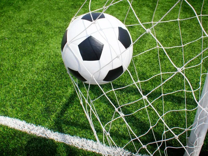 Cá độ bóng đá Bsport là gì?