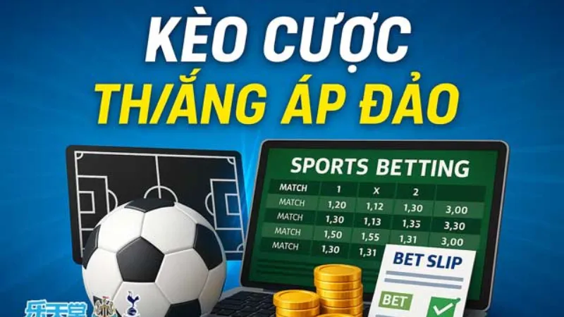 Chiến lược vốn và quản trị rủi ro