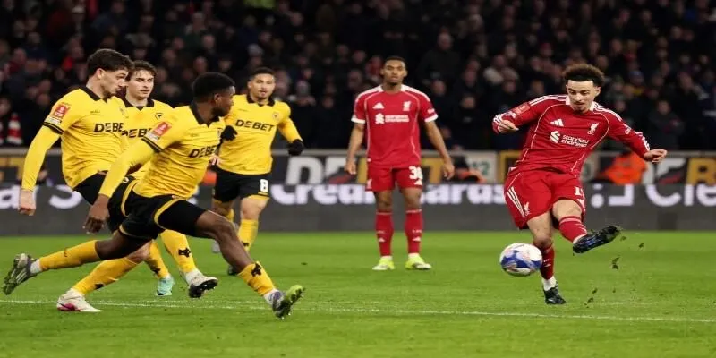 Giới thiệu sơ lược về Bóng đá số